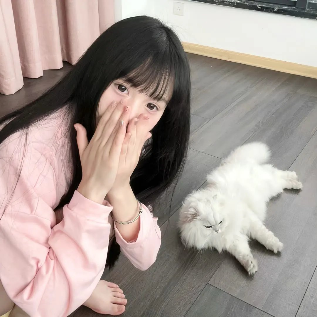 小姐 在线观看封面